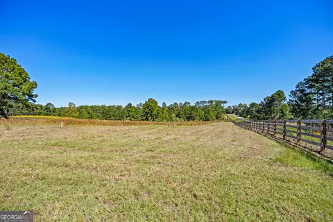 Other - 4688 Mt Olive Rd, Pelham, GA 31779 photo 11 of 14
