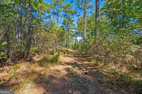 Other - 4688 Mt Olive Rd, Pelham, GA 31779 photo 14 of 14
