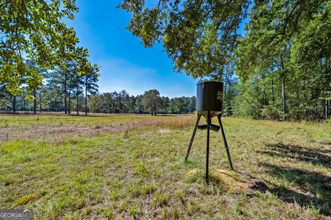 Other - 4688 Mt Olive Rd, Pelham, GA 31779 photo 5 of 14