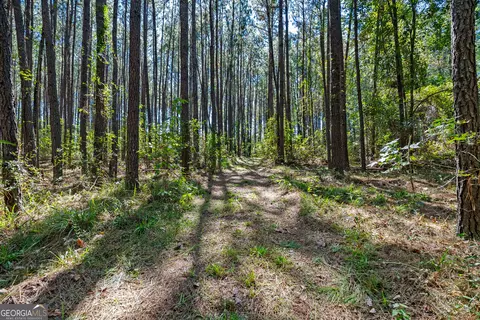 Other - 4688 Mt Olive Rd, Pelham, GA 31779 photo 13 of 14