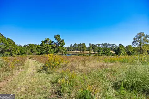 Other - 4688 Mt Olive Rd, Pelham, GA 31779 photo 8 of 14