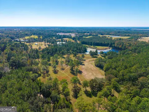 View/Area - 4688 Mt Olive Rd, Pelham, GA 31779 photo 2 of 3