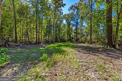 Other - 4688 Mt Olive Rd, Pelham, GA 31779 photo 12 of 14