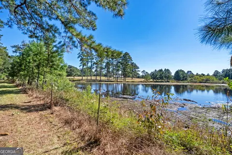 View/Area - 4688 Mt Olive Rd, Pelham, GA 31779 photo 3 of 3