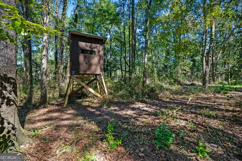 Other - 4688 Mt Olive Rd, Pelham, GA 31779 photo 4 of 14