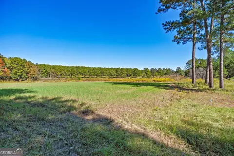 Other - 4688 Mt Olive Rd, Pelham, GA 31779 photo 9 of 14