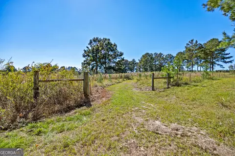 Other - 4688 Mt Olive Rd, Pelham, GA 31779 photo 7 of 14