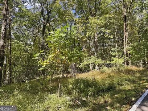 11 Indian Trail Dr, Jasper, GA 30143 photo 22