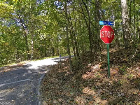11 Indian Trail Dr, Jasper, GA 30143 photo 28