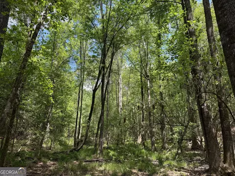 010 George Milling, Cuthbert, GA 39840 photo 2