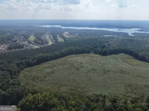 0 Hunter Rd, Mcdonough, GA 30249 photo 11
