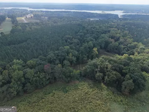 0 Hunter Rd, Mcdonough, GA 30249 photo 8