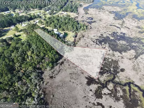 lot62 Forest Marsh Loop NE, Townsend, GA 31331 photo 4