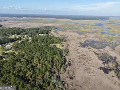 lot62 Forest Marsh Loop NE, Townsend, GA 31331 photo 5