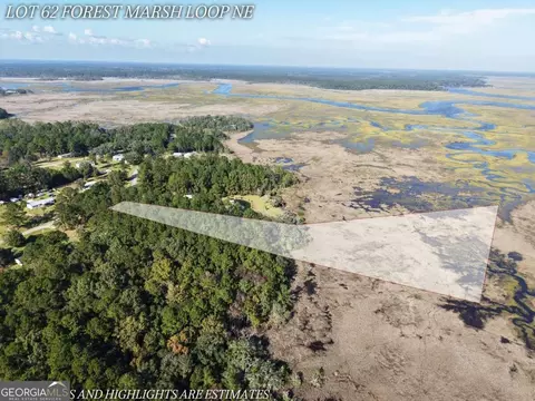 lot62 Forest Marsh Loop NE, Townsend, GA 31331 photo 2