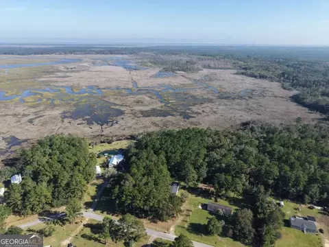lot62 Forest Marsh Loop NE, Townsend, GA 31331 photo 7