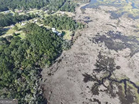 lot62 Forest Marsh Loop NE, Townsend, GA 31331 photo 9