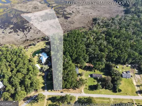 lot62 Forest Marsh Loop NE, Townsend, GA 31331 photo 3