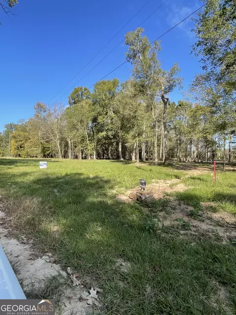 1 60 Ac Eagles Pt, Surrency, GA 31563 photo 3