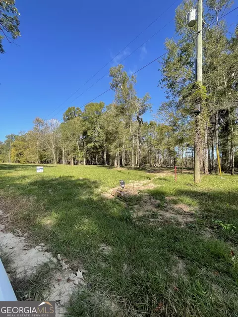 1 60 Ac Eagles Pt, Surrency, GA 31563 photo 4