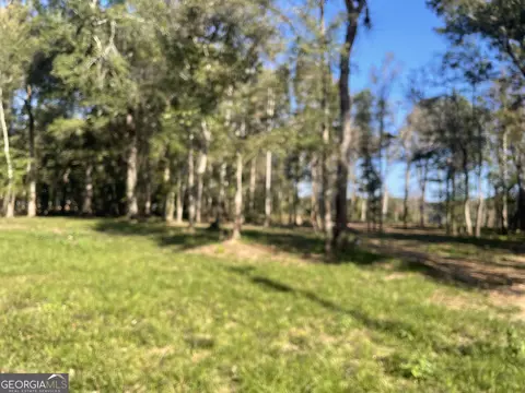 1 60 Ac Eagles Pt, Surrency, GA 31563 photo 2
