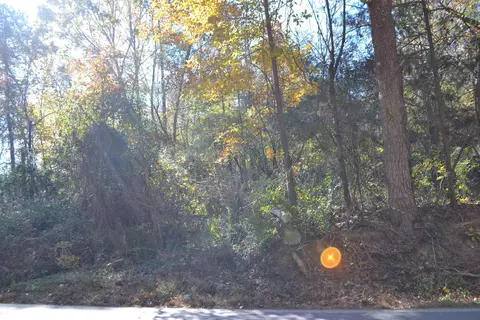2007 Moccason Gap Rd, Lula, GA 30554 photo 3