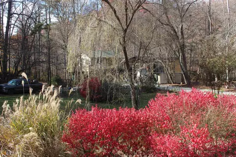 995 Sam Corn Rd, Otto, NC 28763 photo 44