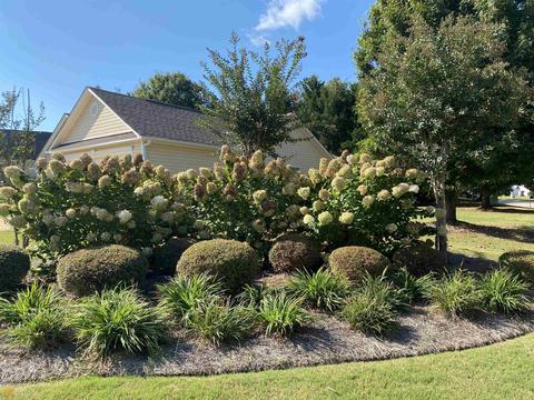 205 Dixie Creek Dr, Lagrange, GA 30240 photo 4