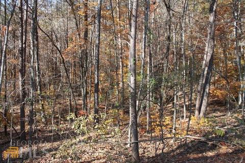 442 Laurel Mountain Dr, Toccoa, GA 30577 photo 7