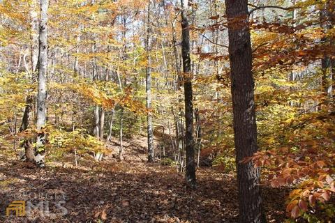 442 Laurel Mountain Dr, Toccoa, GA 30577 photo 11
