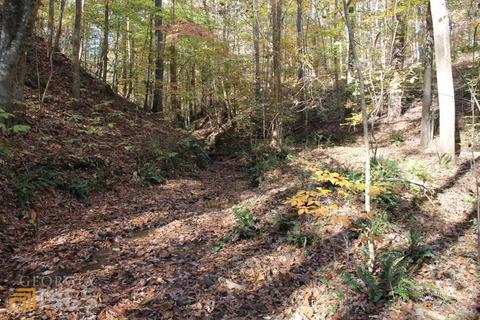 442 Laurel Mountain Dr, Toccoa, GA 30577 photo 5