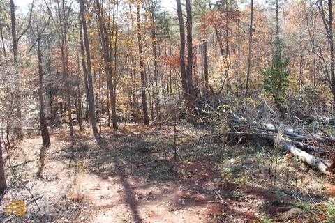 442 Laurel Mountain Dr, Toccoa, GA 30577 photo 21