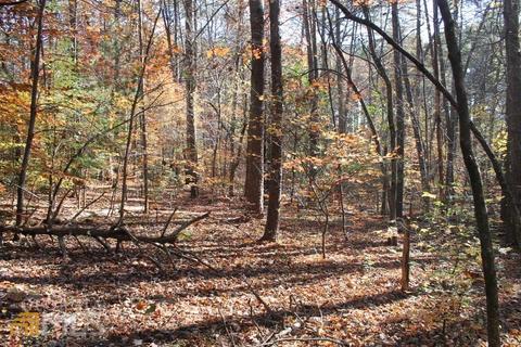 442 Laurel Mountain Dr, Toccoa, GA 30577 photo 20