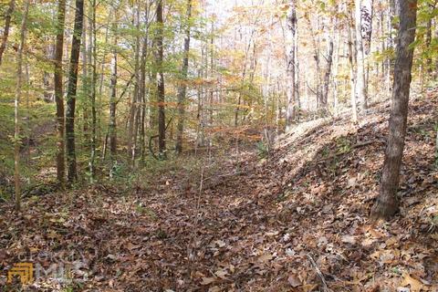 442 Laurel Mountain Dr, Toccoa, GA 30577 photo 13