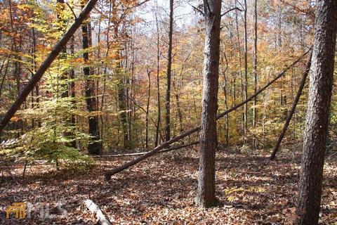 442 Laurel Mountain Dr, Toccoa, GA 30577 photo 9