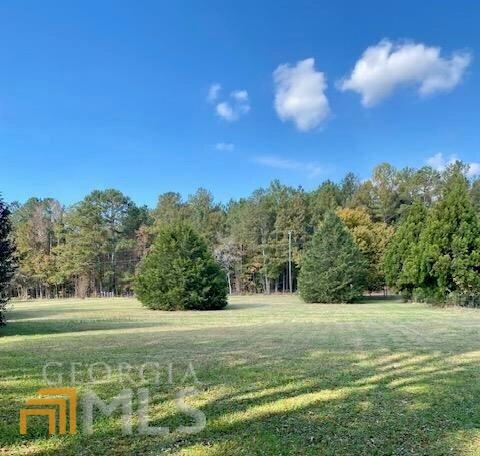 2850 Centennial Rd, Rutledge, GA 30663 photo 5