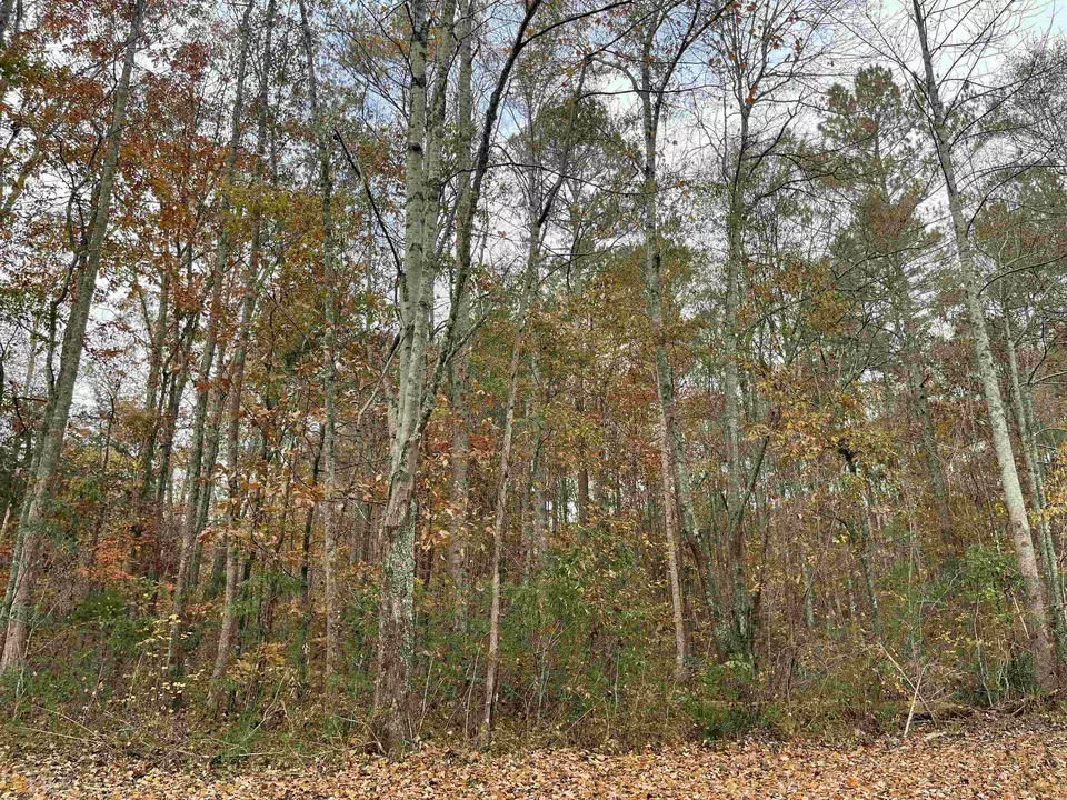  275 Mountain Creek Rd, Bowdon, GA 30108 photo 5