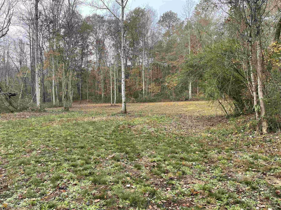  275 Mountain Creek Rd, Bowdon, GA 30108 photo 6