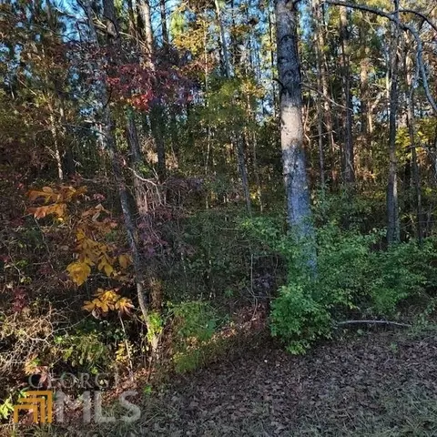 933 Leonard Rd, Lagrange, GA 30241 photo 2