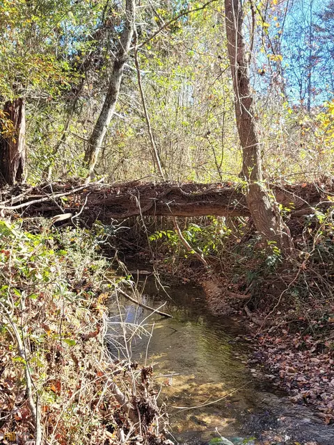 767 Brewer Rd, Lula, GA 30554 photo 79