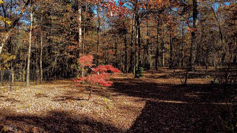 86 Thorne Berry Dr, Hampton, GA 30228 photo 18