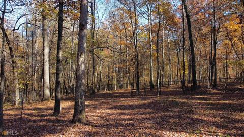 86 Thorne Berry Dr, Hampton, GA 30228 photo 17