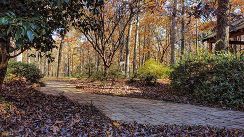 86 Thorne Berry Dr, Hampton, GA 30228 photo 13