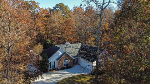 86 Thorne Berry Dr, Hampton, GA 30228 photo 25
