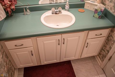 86 Thorne Berry Dr, Hampton, GA 30228 photo 65