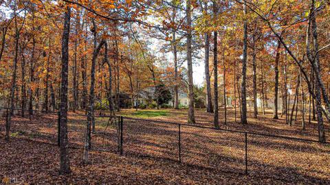 86 Thorne Berry Dr, Hampton, GA 30228 photo 21