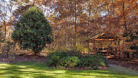 86 Thorne Berry Dr, Hampton, GA 30228 photo 11
