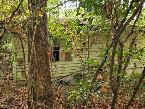 4161 W Forest Ave, Macon, GA 31204 photo 9