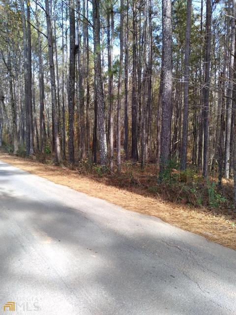 210 Holly Rd, Bowdon, GA 30108 photo 3