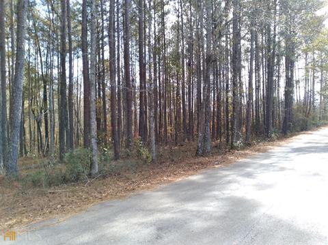 210 Holly Rd, Bowdon, GA 30108 photo 2